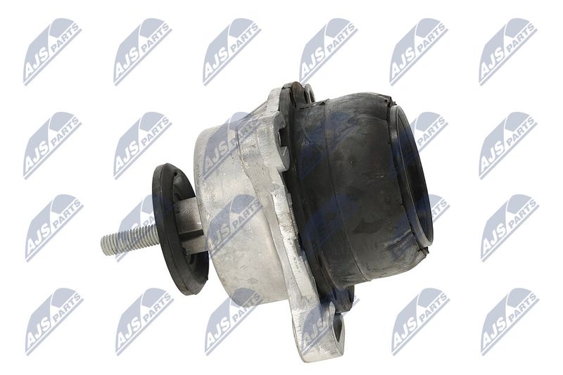 Paigutus, Mootor, NTY ZPS-FR-013