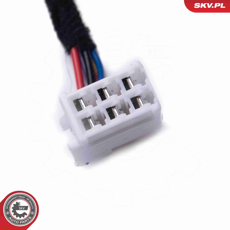 ESEN SKV 52SKV955 Electric Motor, tailgate