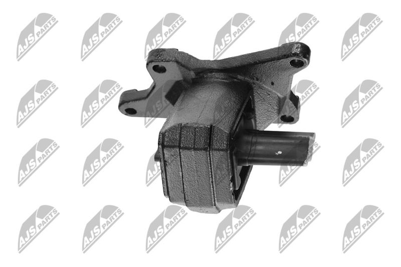 Paigutus, Mootor, NTY ZPS-CH-030