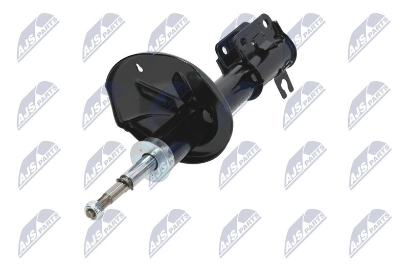 Amort, NTY A-CH-052