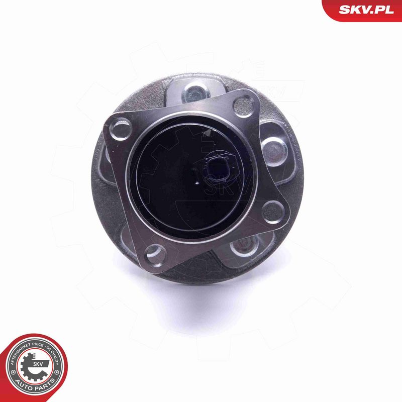 ESEN SKV 29SKV533 Wheel Bearing Kit
