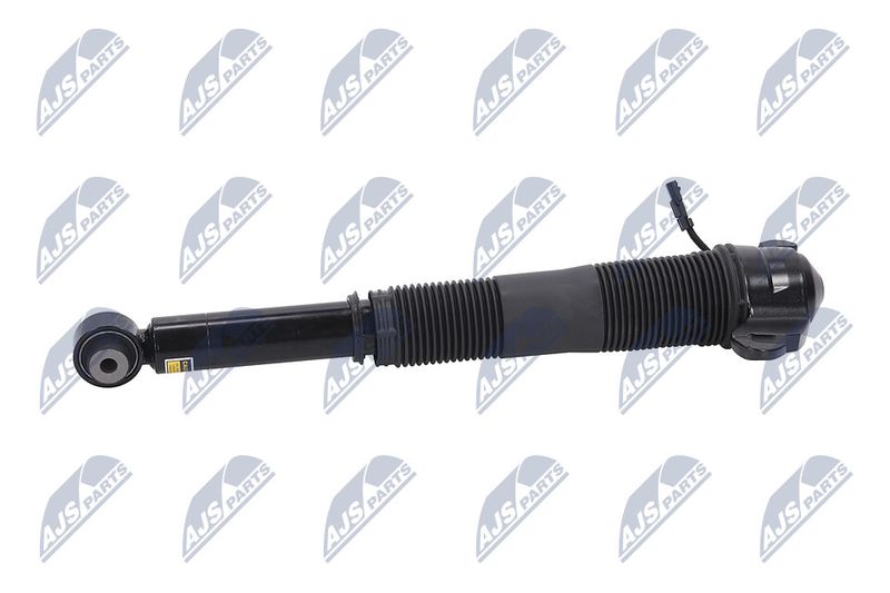 Amort, NTY A-LR-021