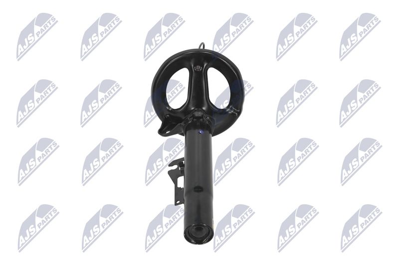 Amort, NTY A-PS-011