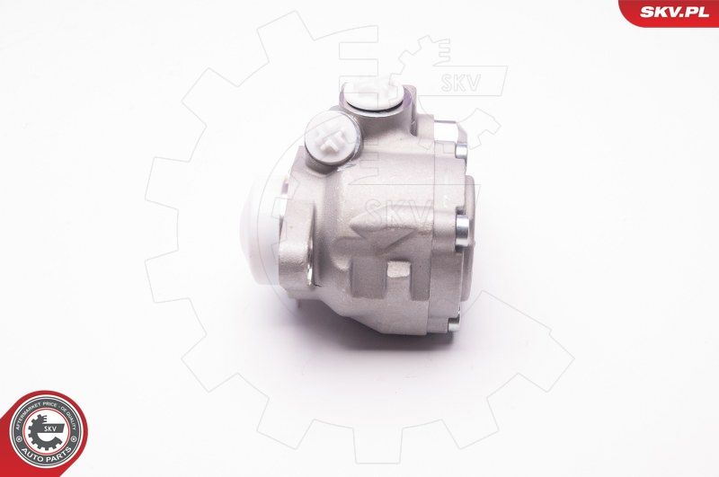 ESEN SKV 1SKV0006 Hydraulic Pump, steering