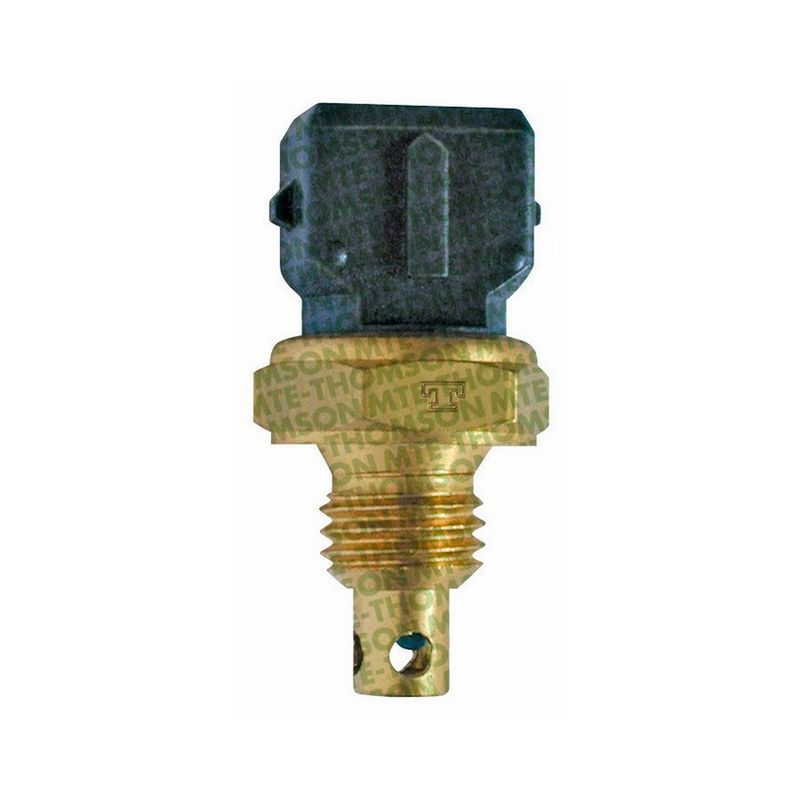 MTE-Thomson 5061 Įsiurbiamo oro temperatūros daviklis