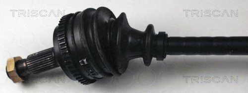 854028559_2.JPG