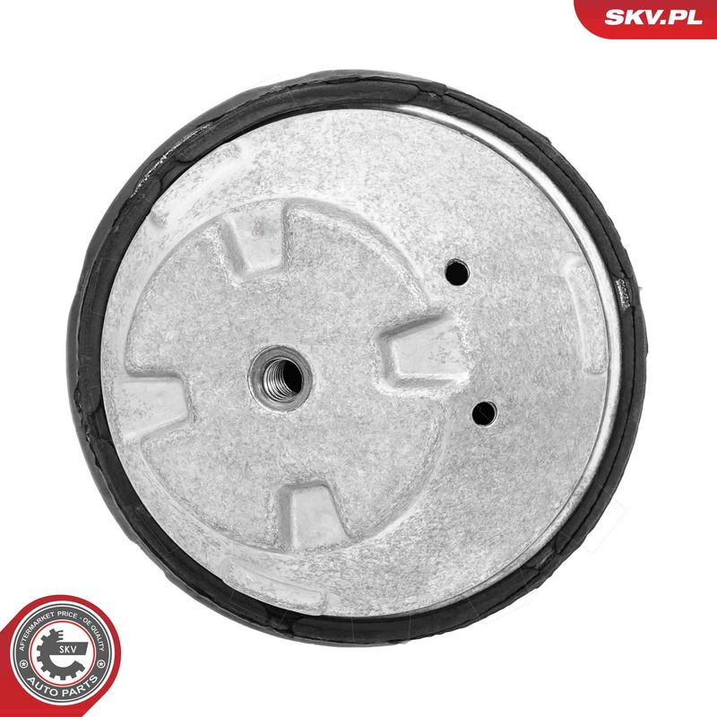 Paigutus, Mootor, ESEN SKV...