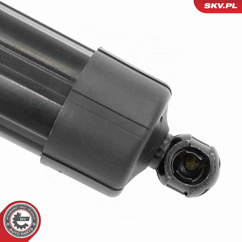 ESEN SKV 52SKV169 Electric Motor, tailgate