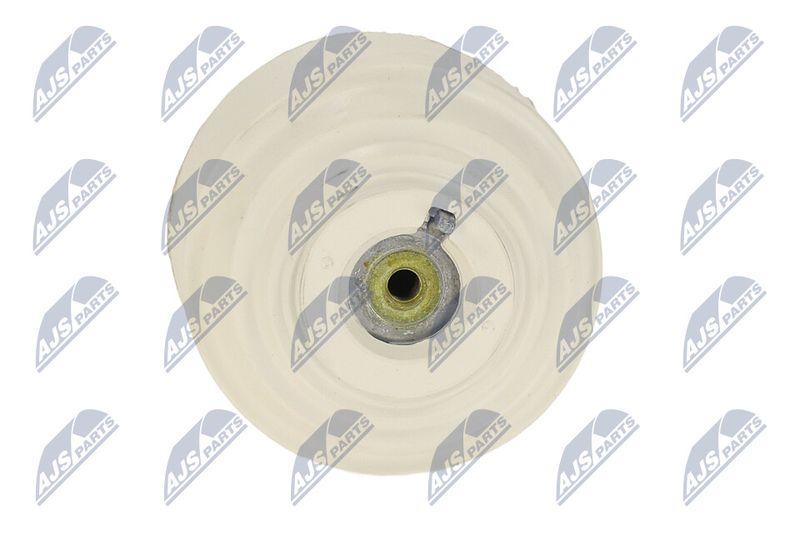 Paigutus, Mootor, NTY ZPS-ME-108