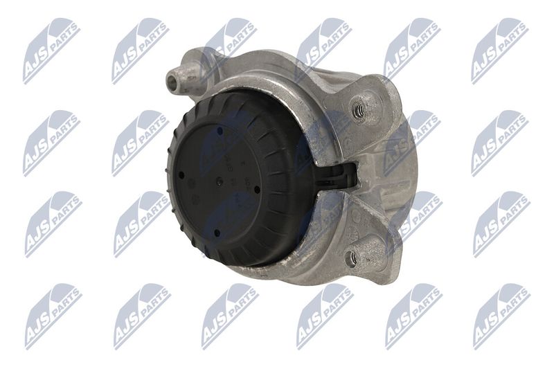 Paigutus, Mootor, NTY ZPS-ME-029