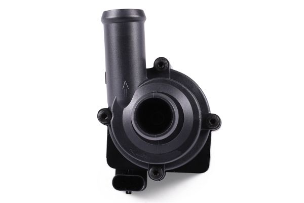 HEPU AP8307 Auxiliary Water Pump (cooling water circuit)