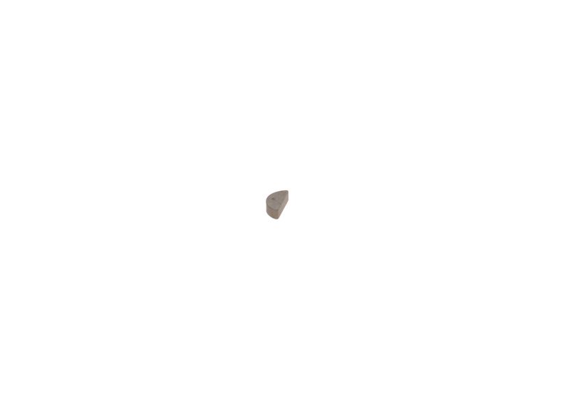 Arc F 019 D01 605 BOSCH
