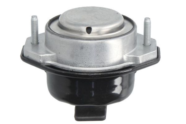 REINHOCH RH11-3158 Mounting, engine