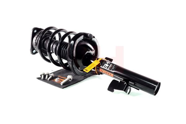 Vedruamort, GH GH-352539C01