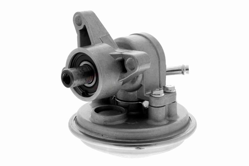 VAICO V25-1907 Mounting, engine
