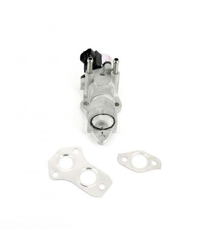 NPS T564A05 EGR Valve