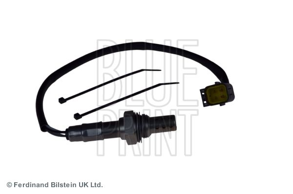 ADJ137016_1.JPG