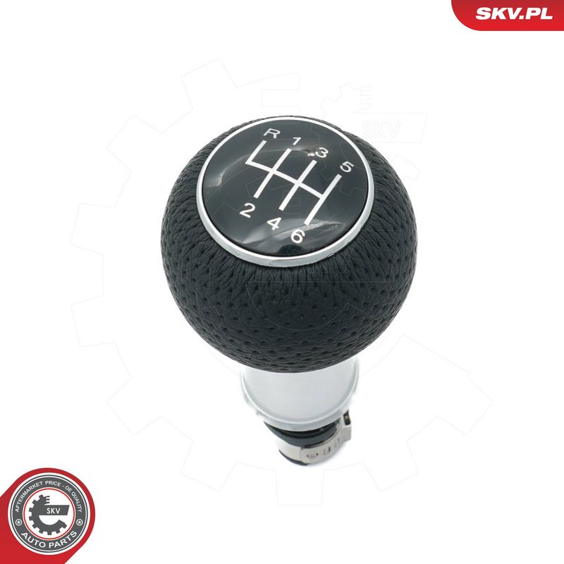 Käigukanginupp, ESEN SKV...