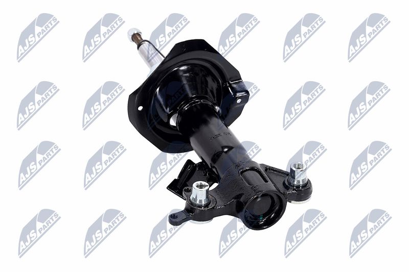 Amort, NTY A-NS-015