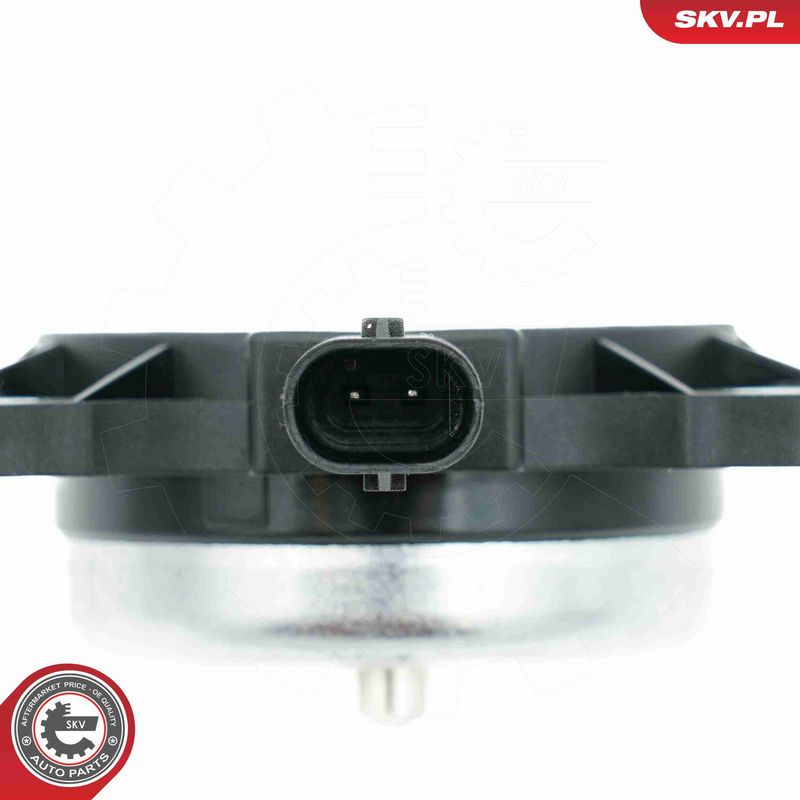 ESEN SKV 39SKV905 Central Magnet, camshaft adjustment