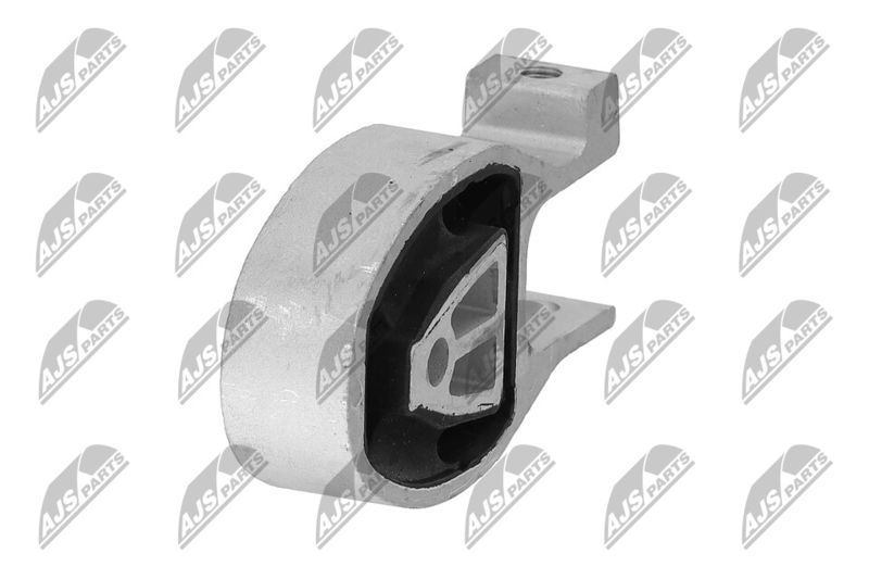 Paigutus, Mootor, NTY ZPS-FR-038