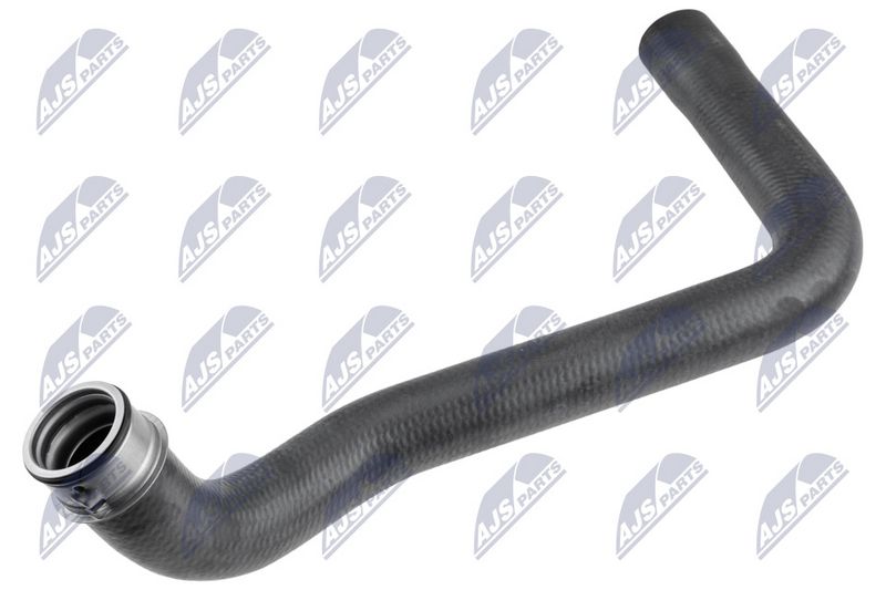 cpp-vw-054_1-wm.JPG