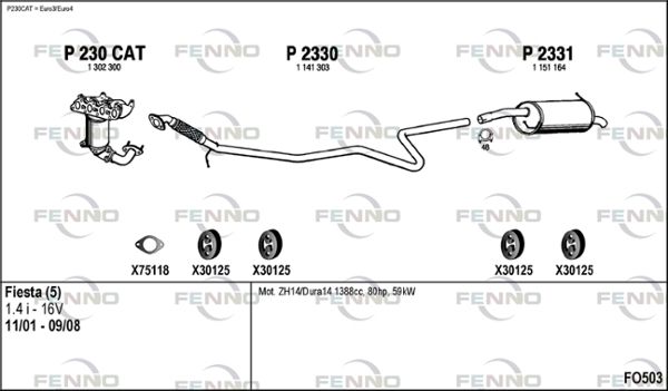 FO503.JPG