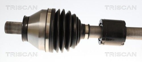 854027585_2.JPG