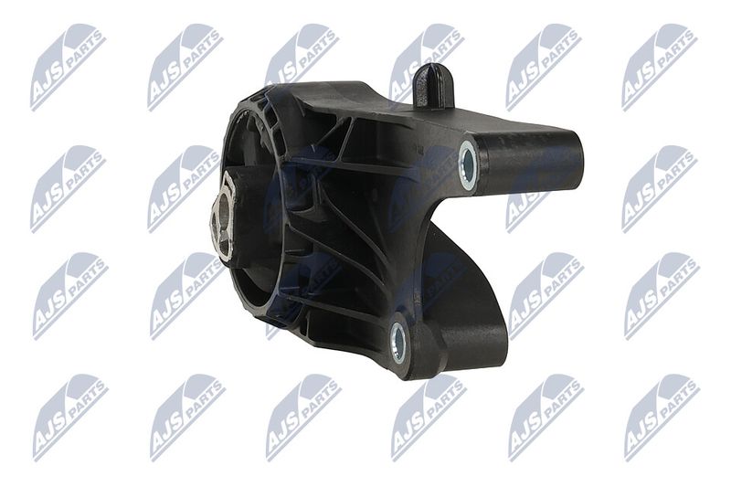 Paigutus, Mootor, NTY ZPS-PL-058