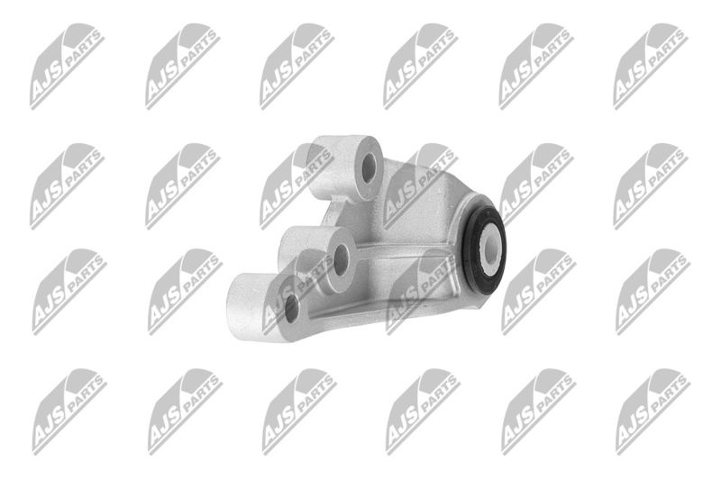 Paigutus, Mootor, NTY ZPS-CH-120