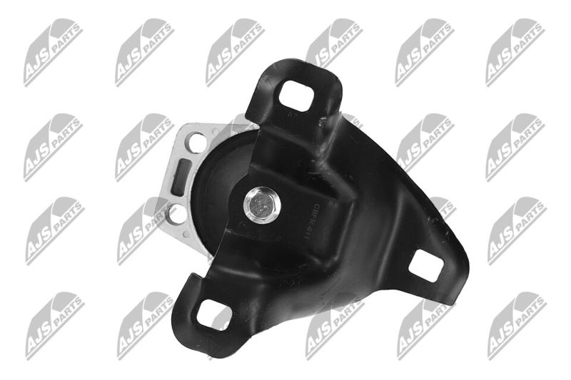 Paigutus, Mootor, NTY ZPS-FR-011