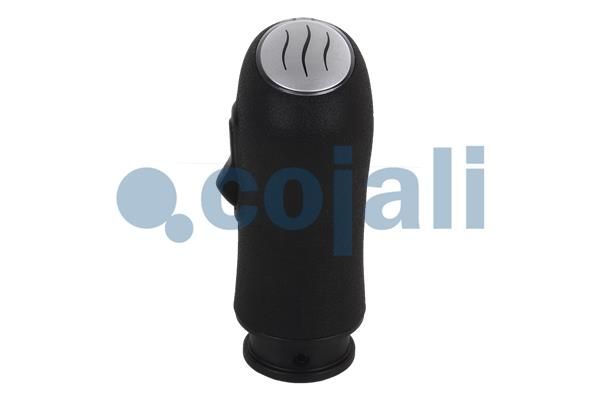 Hlavice řadicí páky 2880155