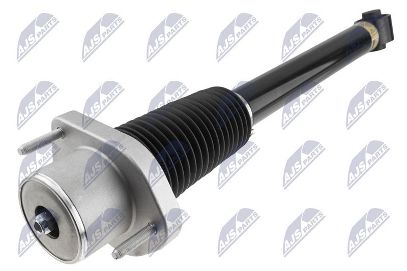 Amort, NTY A-LR-015