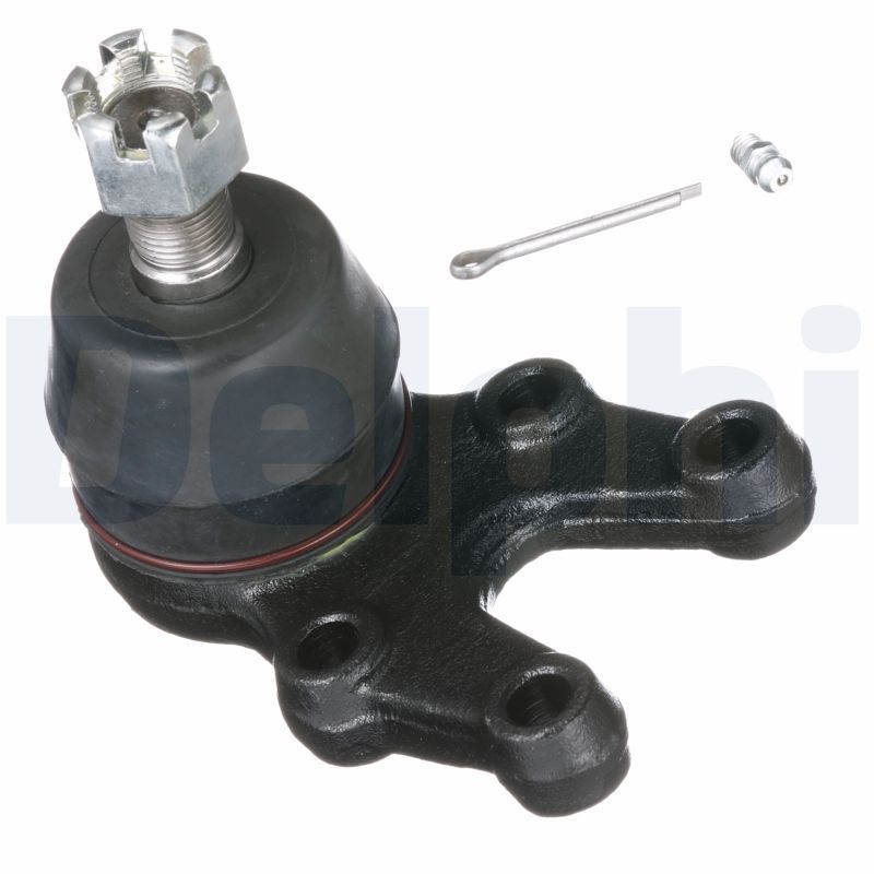 TC5095.JPG