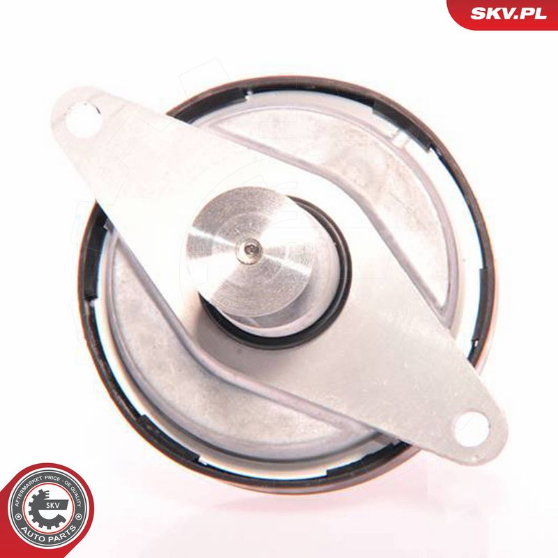 ESEN SKV 14SKV023 EGR Valve