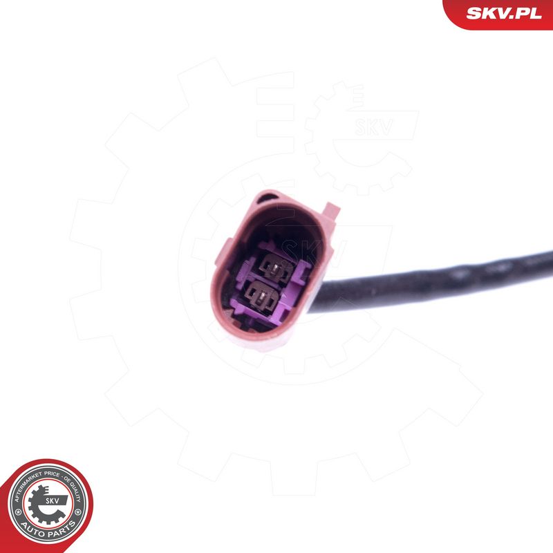 Andur, heitgaasitemperatuur, ESEN SKV 30SKV268