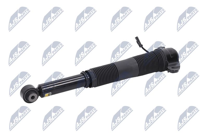 Amort, NTY A-LR-021