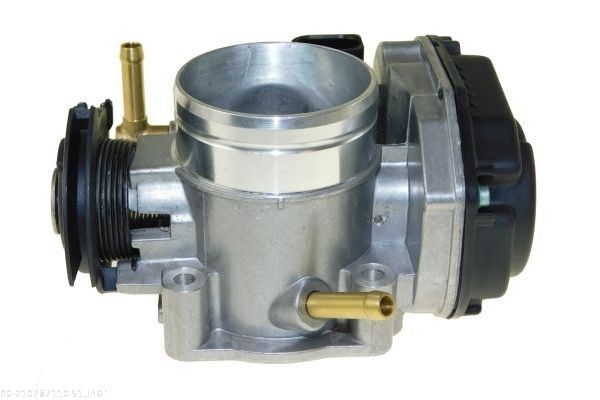 AUTOMEGA 210787110 Throttle Body