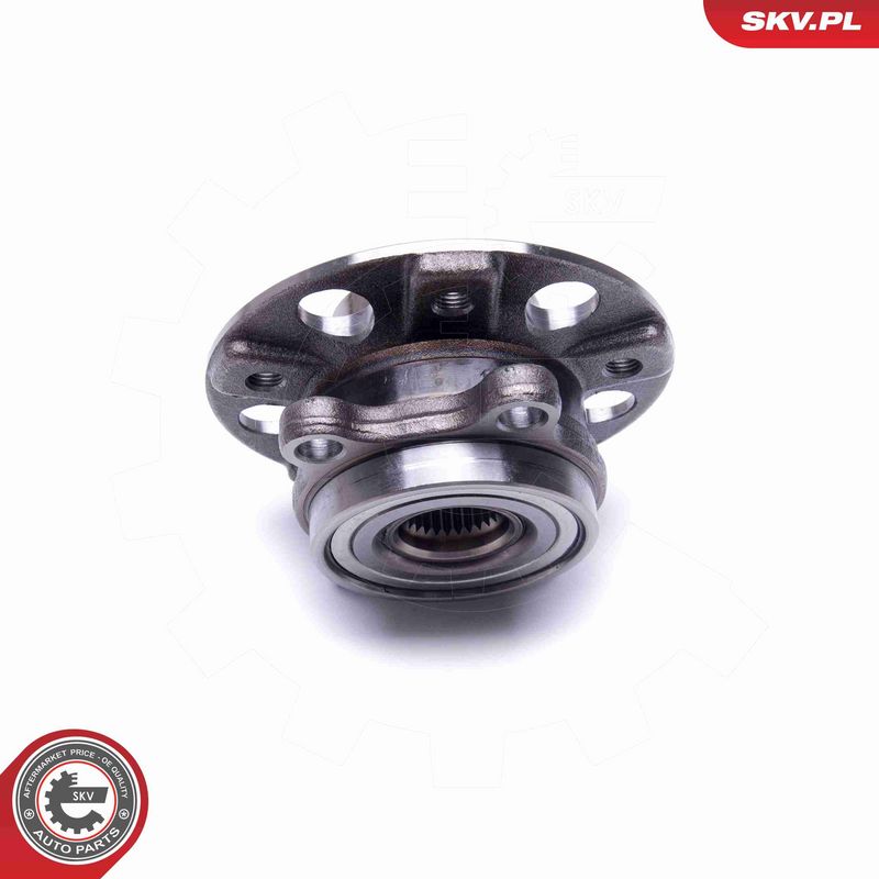 ESEN SKV 29SKV387 Wheel Bearing Kit