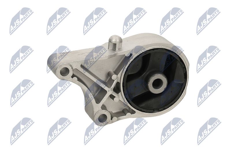 Paigutus, Mootor, NTY ZPS-PL-074