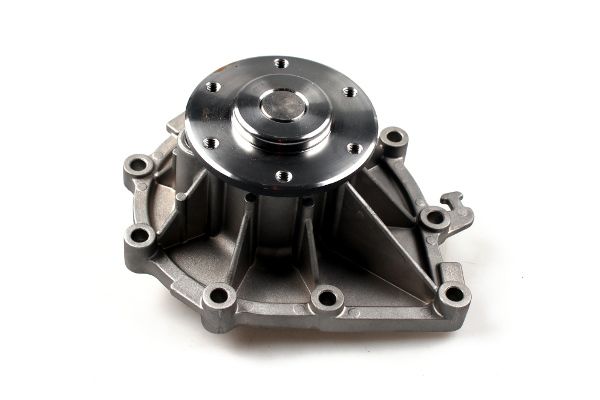 P9977 (1).JPG