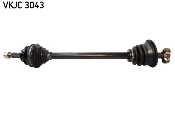 VKJC 3043.JPG