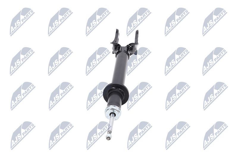 Amort, NTY A-CH-077