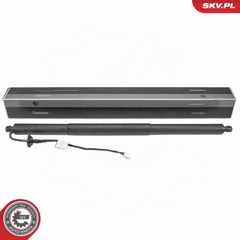 ESEN SKV 52SKV242 - Electric Motor, tailgate