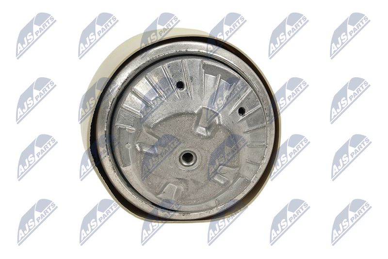 Paigutus, Mootor, NTY ZPS-ME-101