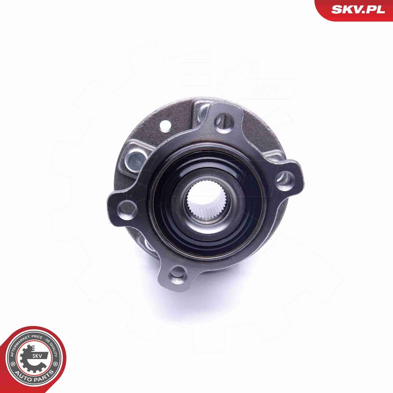 ESEN SKV 29SKV265 Wheel Bearing Kit
