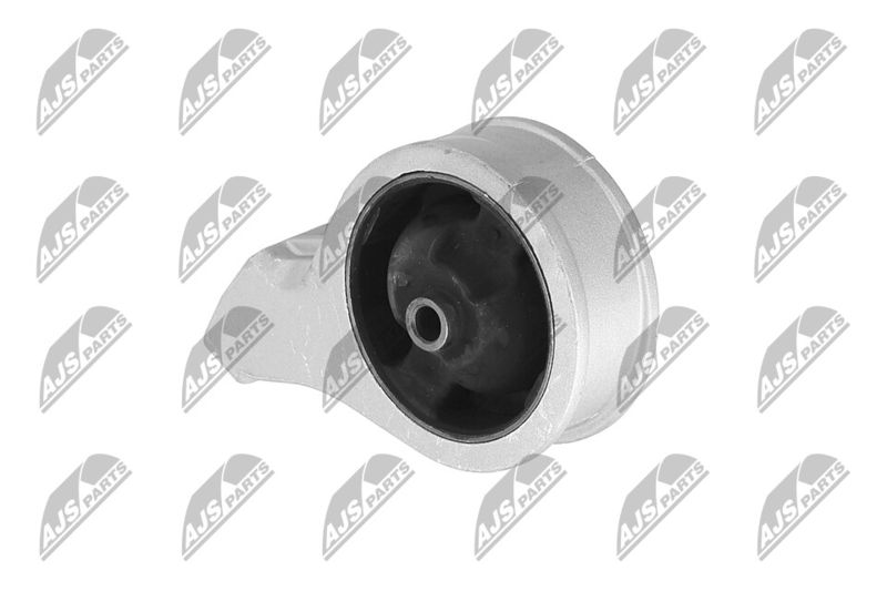 Paigutus, Mootor, NTY ZPS-HY-561