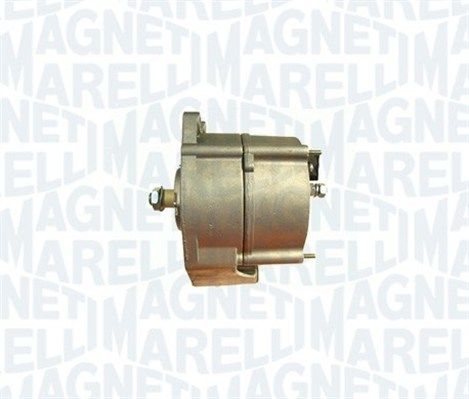 MRF_9935620_1_WR.JPG