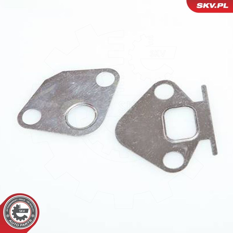 EGR-klapp, ESEN SKV 14SKV043