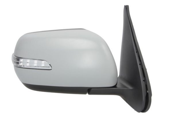BLIC 5402-18-2002414P Exterior Mirror